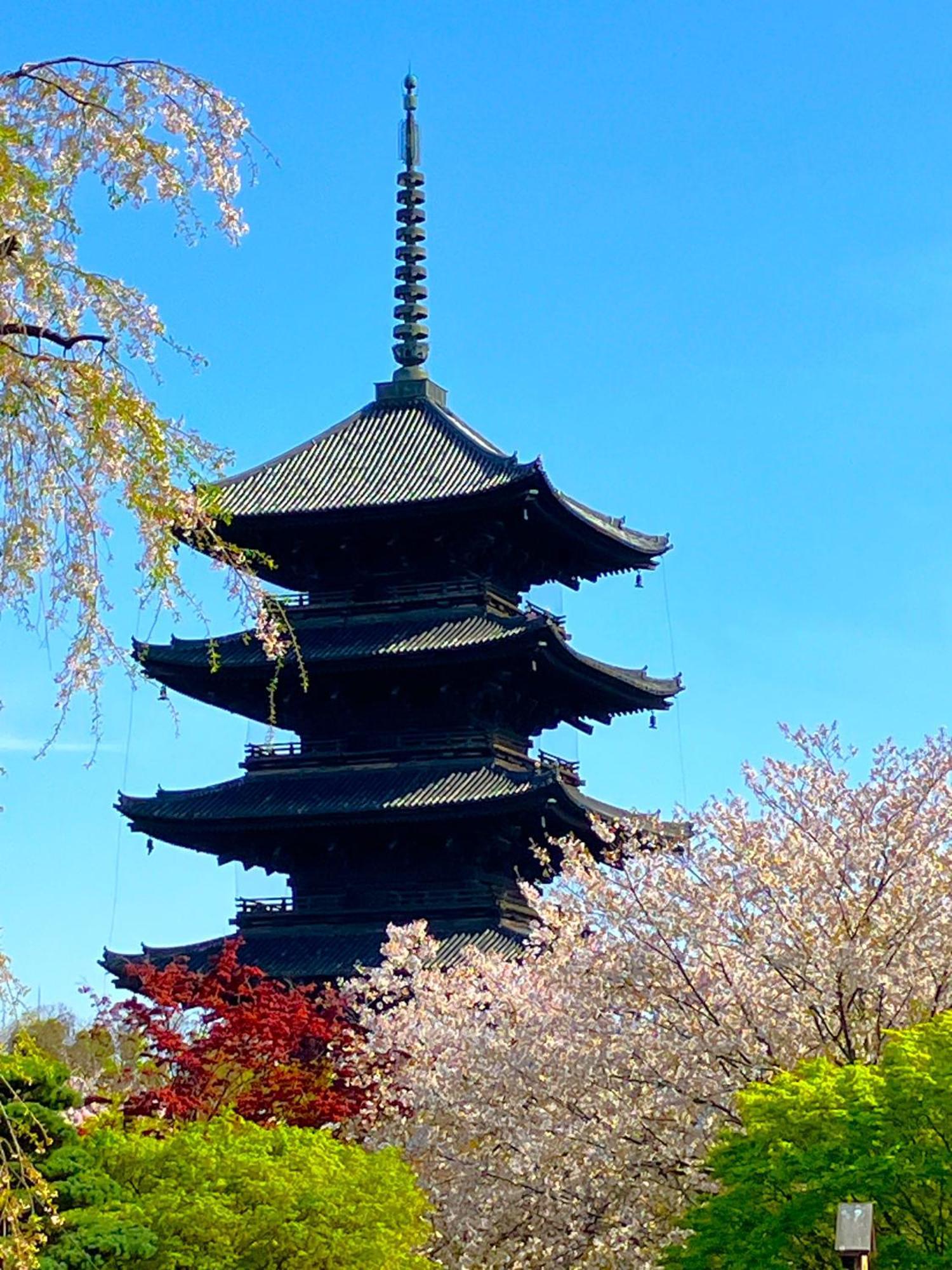 Premium Toji Hotel Kyoto Exterior foto